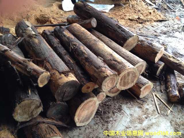 [��] �ձ�ɼԭľ ��ɼľ ��ɼľ һ��؛Դ�M��