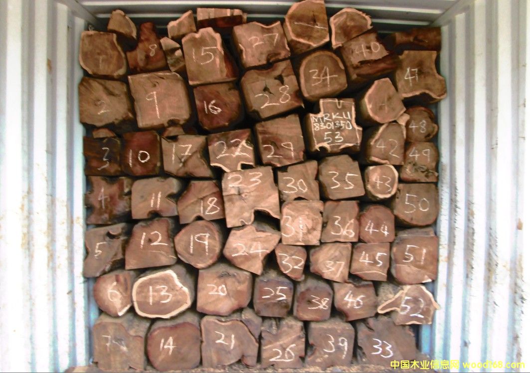 �Ӽ{������