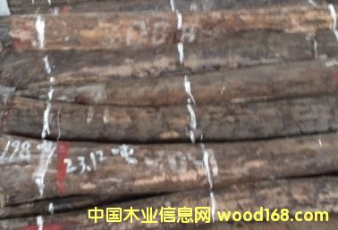 ���~��̴��Ԕ����B