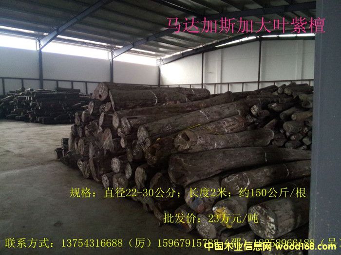 ���~��̴��Ԕ����B