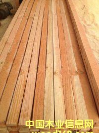 �����ɵ�Ԕ����B