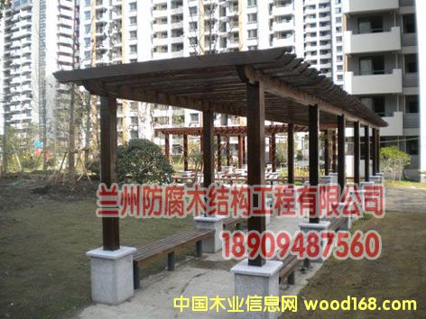 ����ľ�����ȼ�