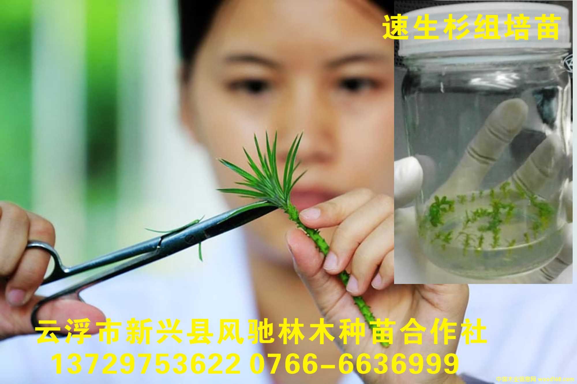 �V�|3.5������ɼ�M���� �V��3.5������ɼ�M����