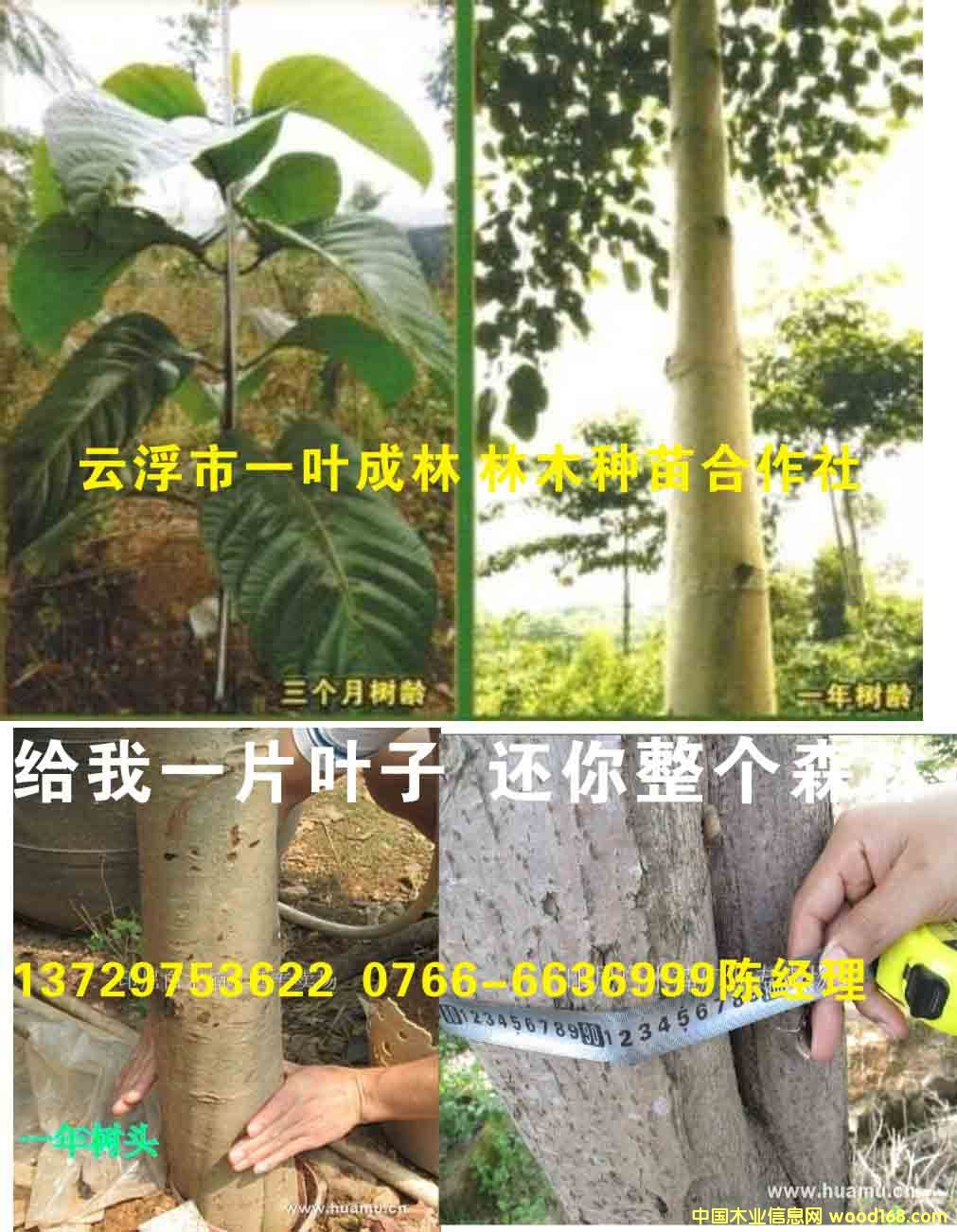 骰�ľһ�����L��r