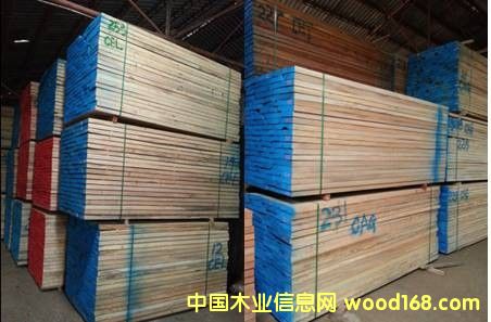 ���²��sľ��ɰ�ĵ�Ԕ����B