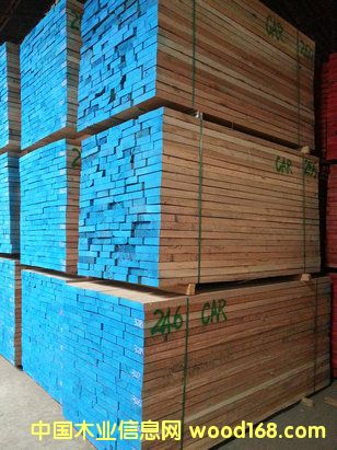 �t�ϙ�CAR ��ɰ�ĵ�Ԕ����B