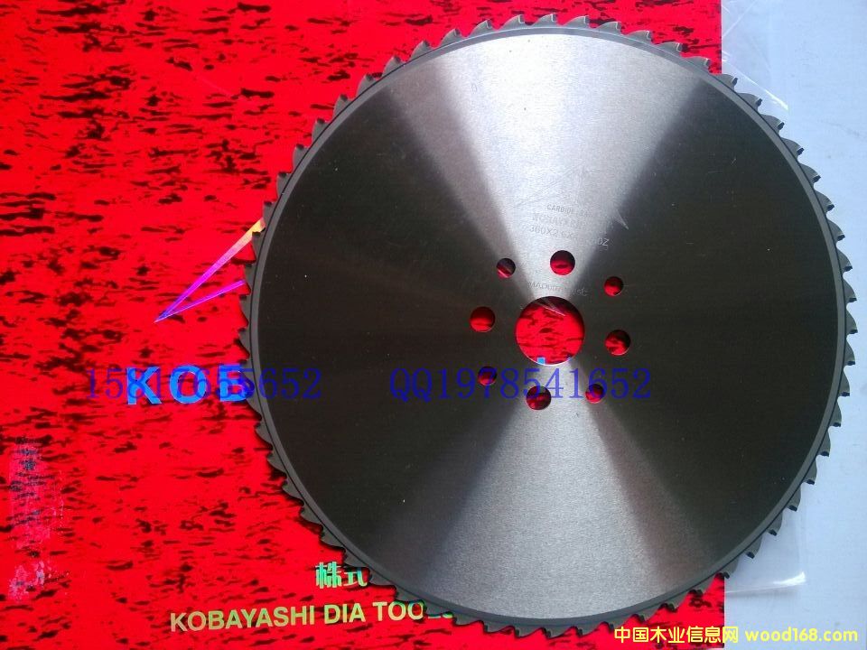 KOBAYASHIDIA���