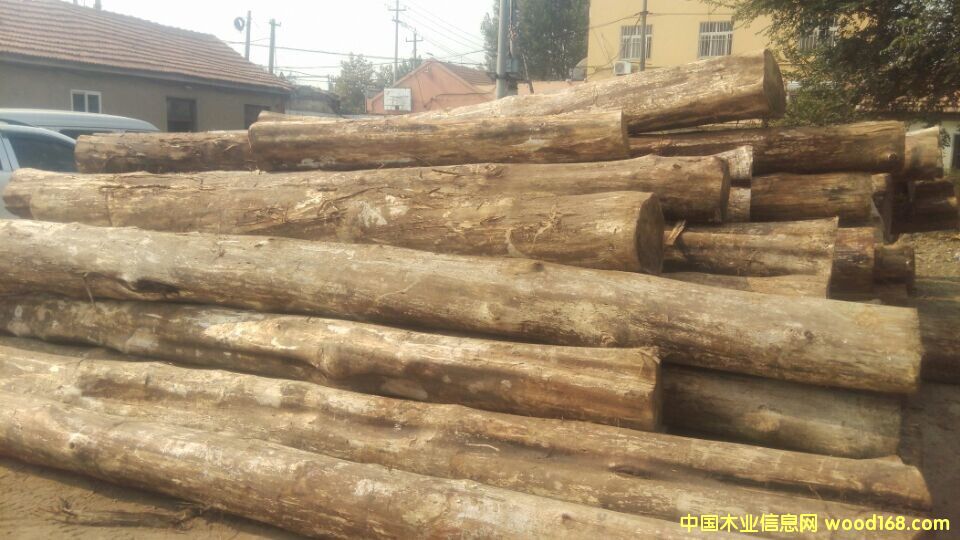 �������ľԭľ��Ԕ��(x��)��B