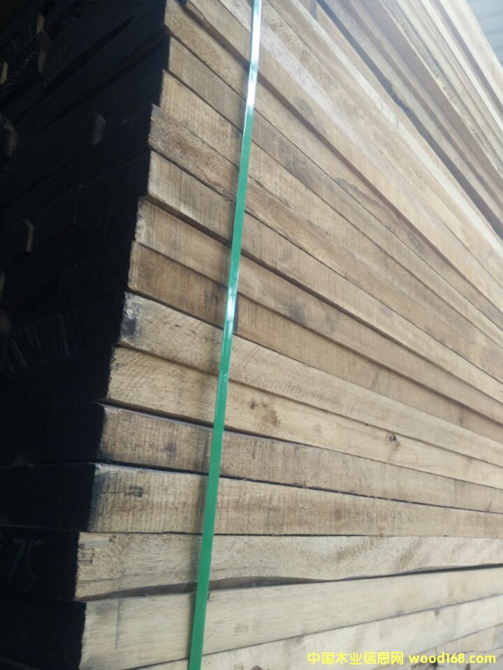 欖仁木的詳細介紹