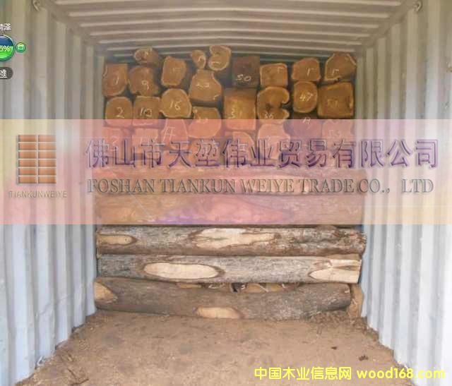 �����̴��Ԕ��(x��)��B