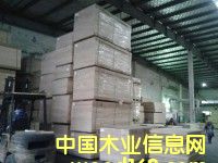 ݗ���ɵ�Ԕ����B