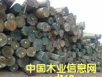 ݗ���ɵ�Ԕ����B