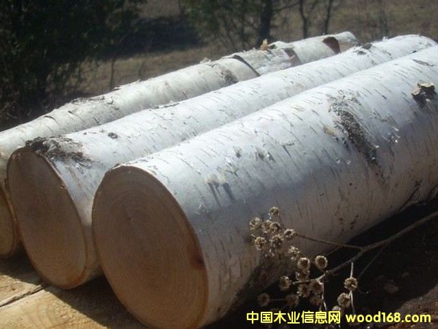 �|����ľ��Ԕ����B