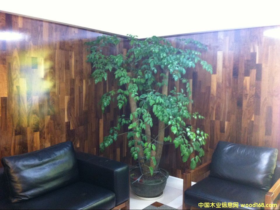 KS8356���_����ľ