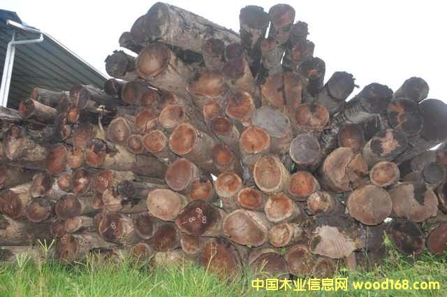 ����t����Ԕ����B