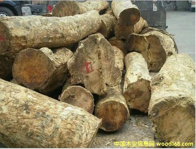 ������С�~�S��ľ��Ԕ����B