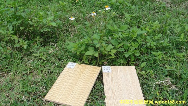 10��Ԕ����B