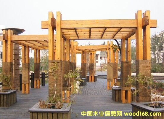 �c���鿴���l����ľ�Ŵ�DƬ