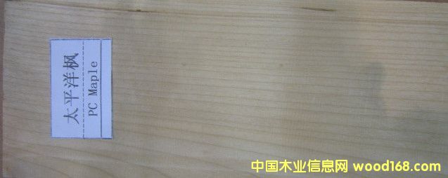 ̫ƽ�����Ԕ����B