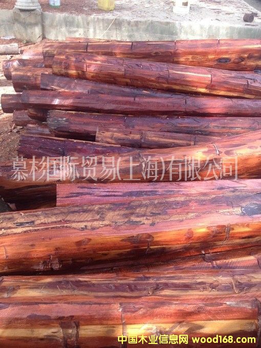 �߼yľ��Ԕ����B