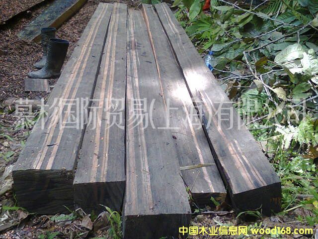 �K��������ľ