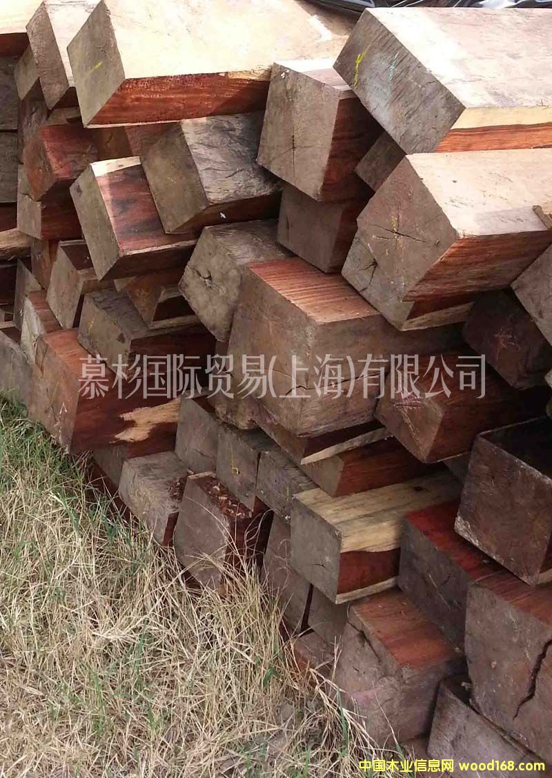 ������΢���S̴