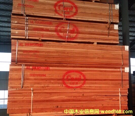 �W�������t���ң���ĵ�Ԕ����B