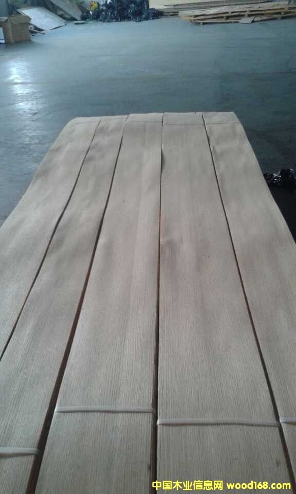 紅橡的詳細(xì)介紹