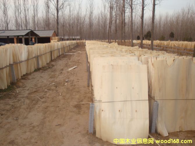 �ΰ��Ԕ����B