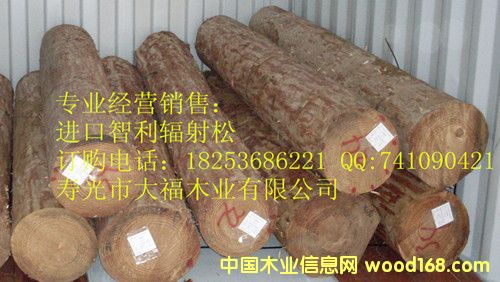 ����ݗ���ɵ�Ԕ����B