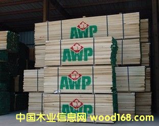 �t��ľ��Ԕ����B