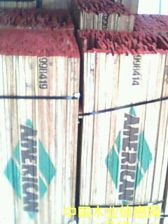 ����ľ��Ԕ����B