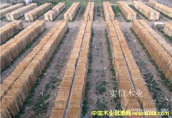 ��ľһ�����Ԕ����B