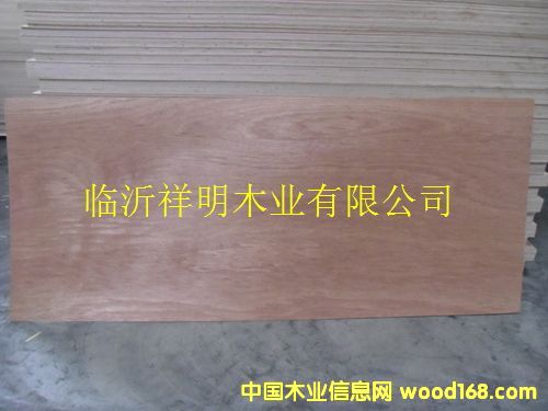 �z�ϰ�6����b����ǹ����