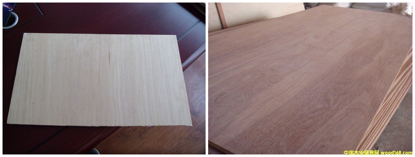 ؐ��ɼ�z�ϰ�