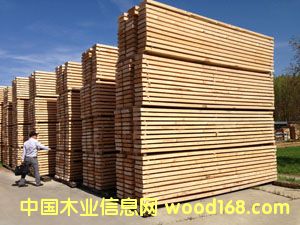 25MM���COL�� �ؼ� A��ݗ���ɺ�ɰ�ĵ�Ԕ����B