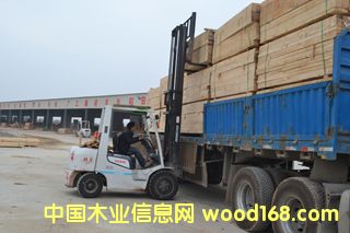 ����ľ��