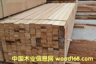 ����ľ��