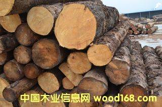 �B�Tľ���Ј�(ch��ng)�ӹ��Fɼ