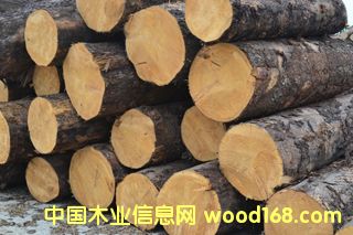 ����ľ���Ј�(ch��ng)�ӹ�ݗ����