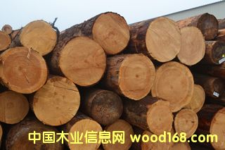 ����ľ��