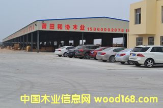 ����ľ���Ј�(ch��ng)