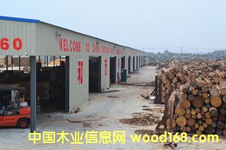 ����ľ���Ј�(ch��ng)