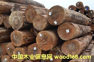 ����ľ���Ј�(ch��ng)�ӹ��Fɼ