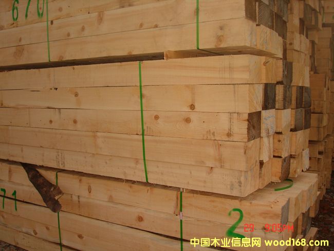 ����ľ��