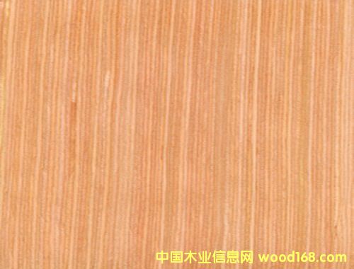 ��Դ�Ƽ�ľƤ��Ԕ��(x��)��B