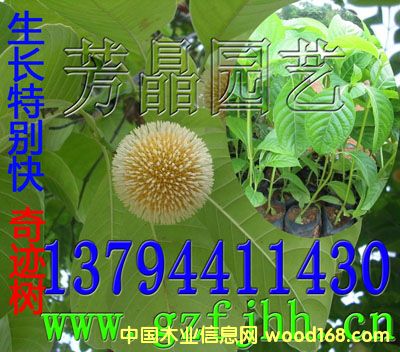 �c���鿴�F������ �S��ľ�� ���E����Ŵ�DƬ