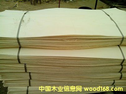 ��ľ�ΰ��Ԕ��(x��)��B