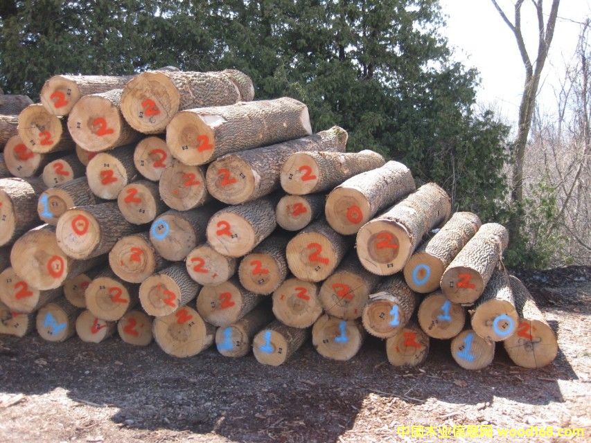 ������Ϟ?z��i)�ԭľ��Ԕ�?x��)��B