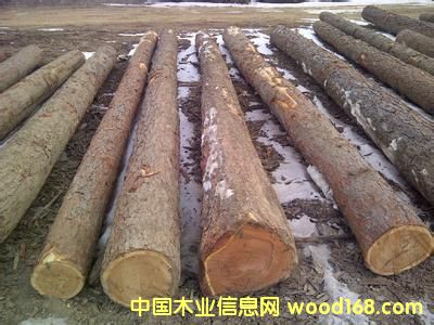 ���~��ԭľ��Ԕ����B